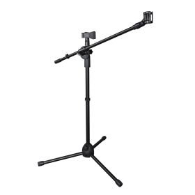 Mic Stand w/ Boom Arm 2mic Black (Color: as picture)